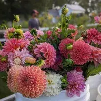 Cutting Garden category