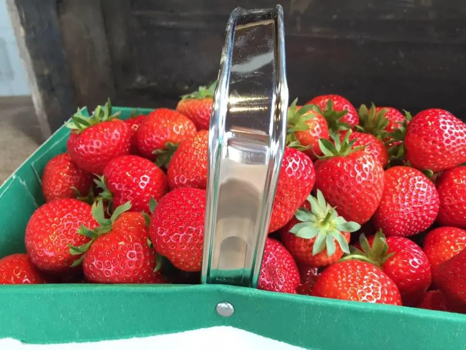 Brittain's Berries - School Farm, Retford photo 2