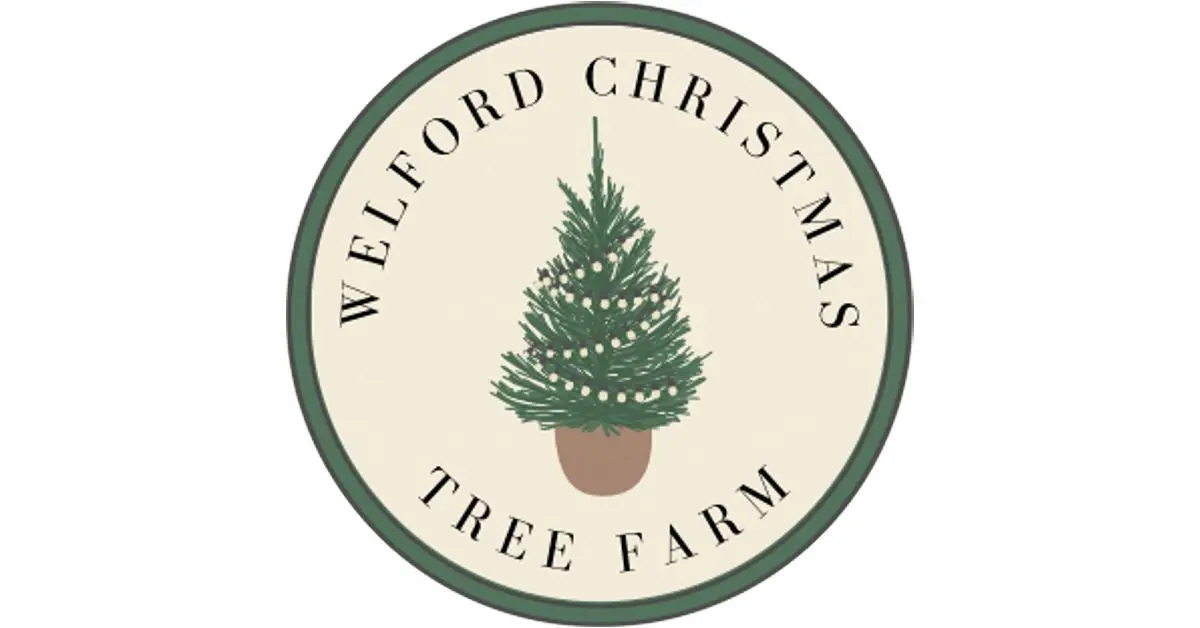 Welford Christmas Tree Farm main photo