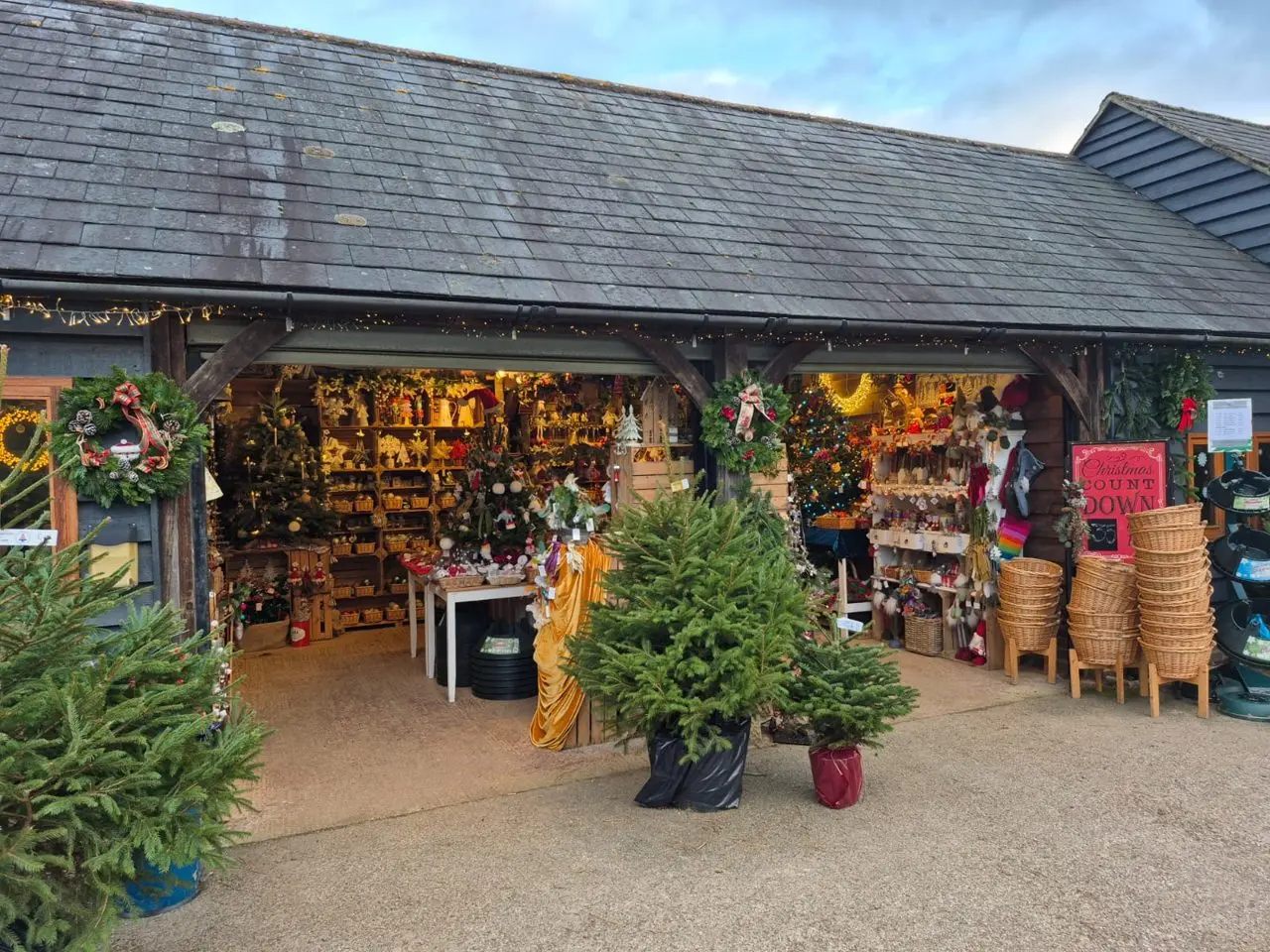 Catsfield Christmas Tree Farm photo 3