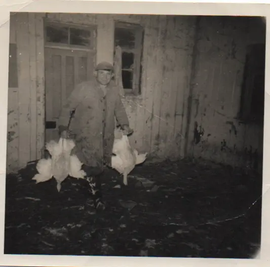 Exeter Turkey Farm (Glebelands Farm) photo 1