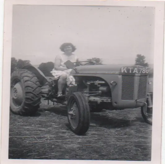 Exeter Turkey Farm (Glebelands Farm) photo 2