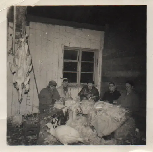 Exeter Turkey Farm (Glebelands Farm) photo 3