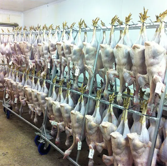 Exeter Turkey Farm (Glebelands Farm) photo 4