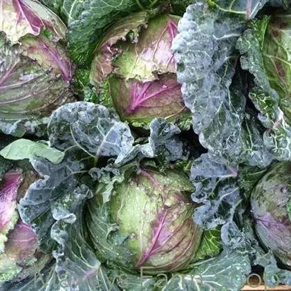 Maxey's Farm Shop photo 2