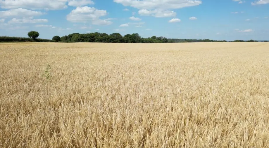 Yattendon Estate photo 3