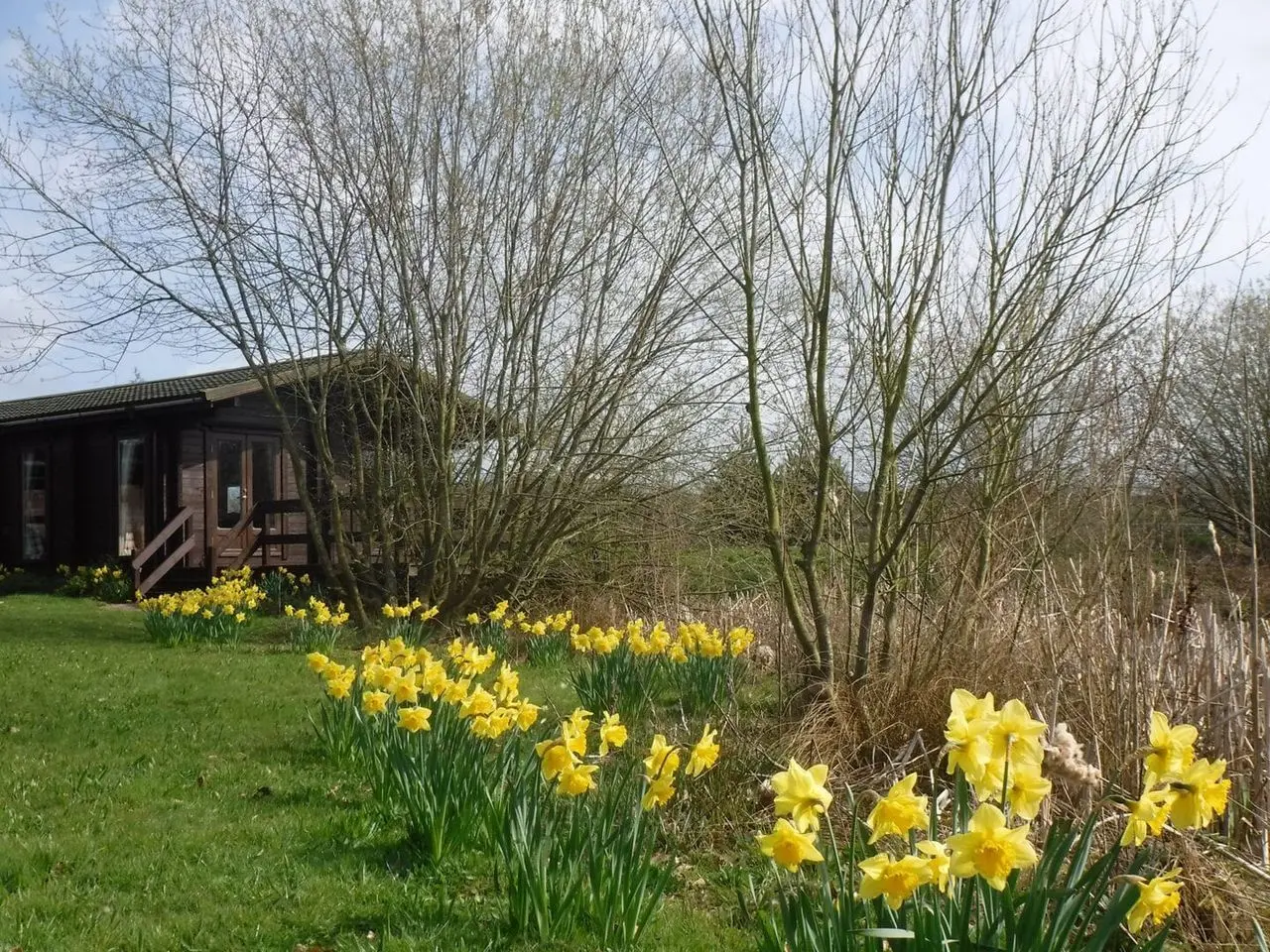 Hill Farm Packington (Antlers and Alpaca farm shop and café) photo 1