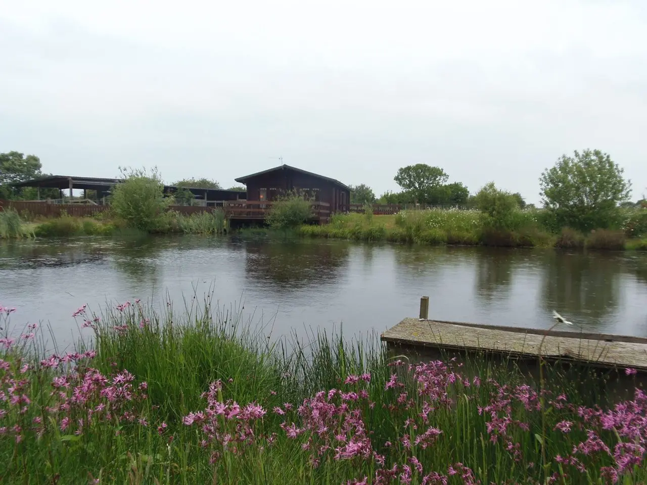 Hill Farm Packington (Antlers and Alpaca farm shop and café) photo 4
