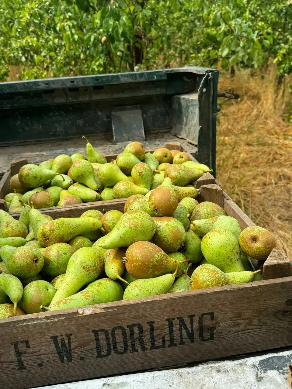 Bramblebee Farms photo 1