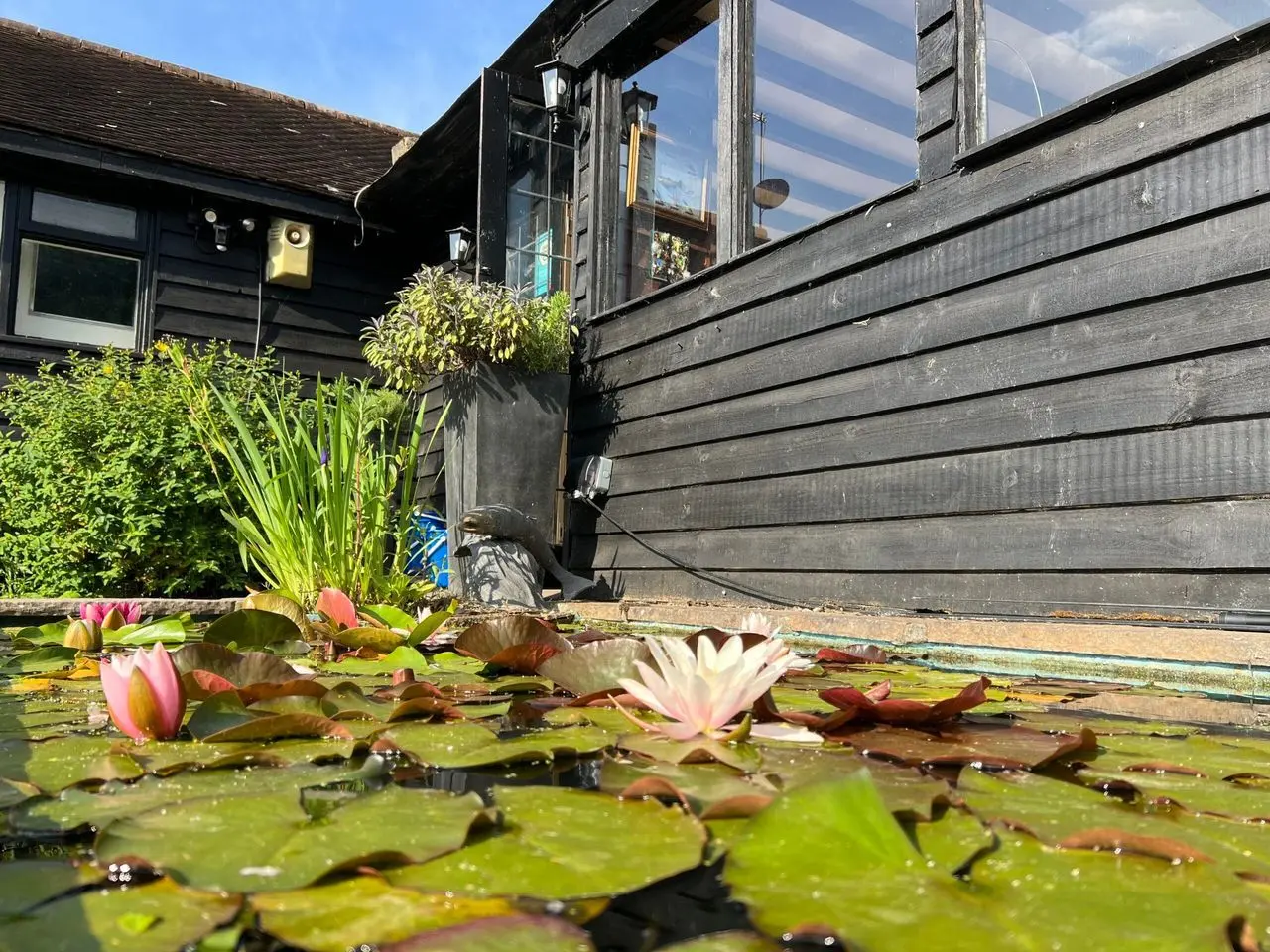 Tillingbourne Farm & Smokery main photo