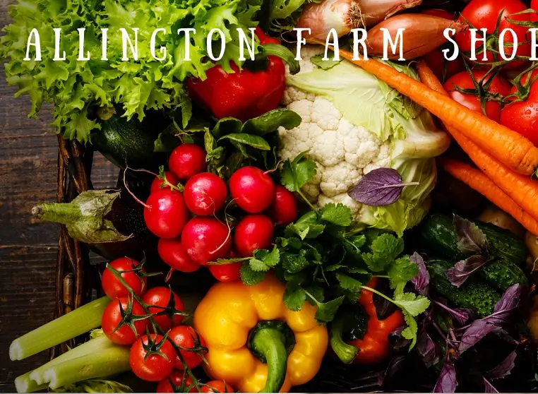 Allington Farm Shop photo 1