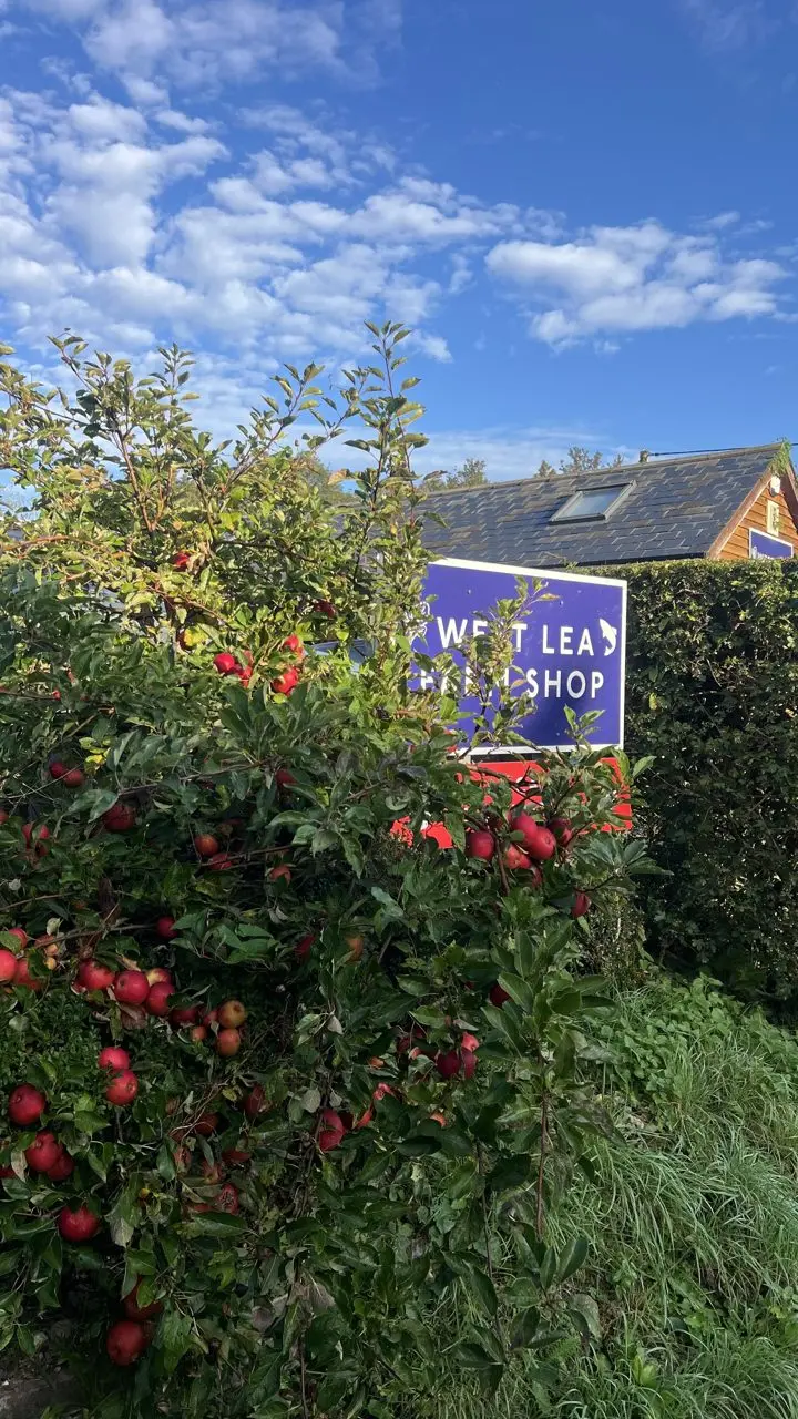 West Lea Farm Shop photo 3
