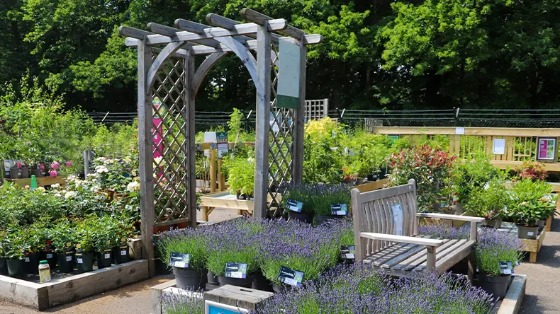 Squire's Garden Centre Frensham photo 1