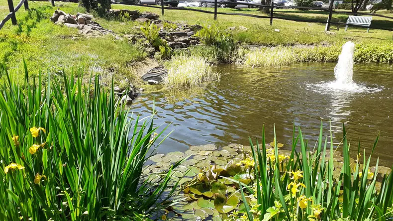 Squire's Garden Centre Frensham photo 2