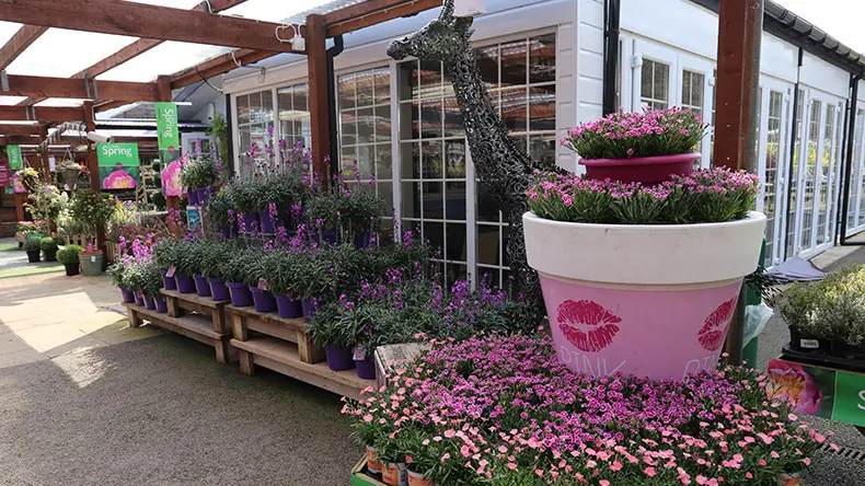 Squire's Garden Centre Frensham photo 3