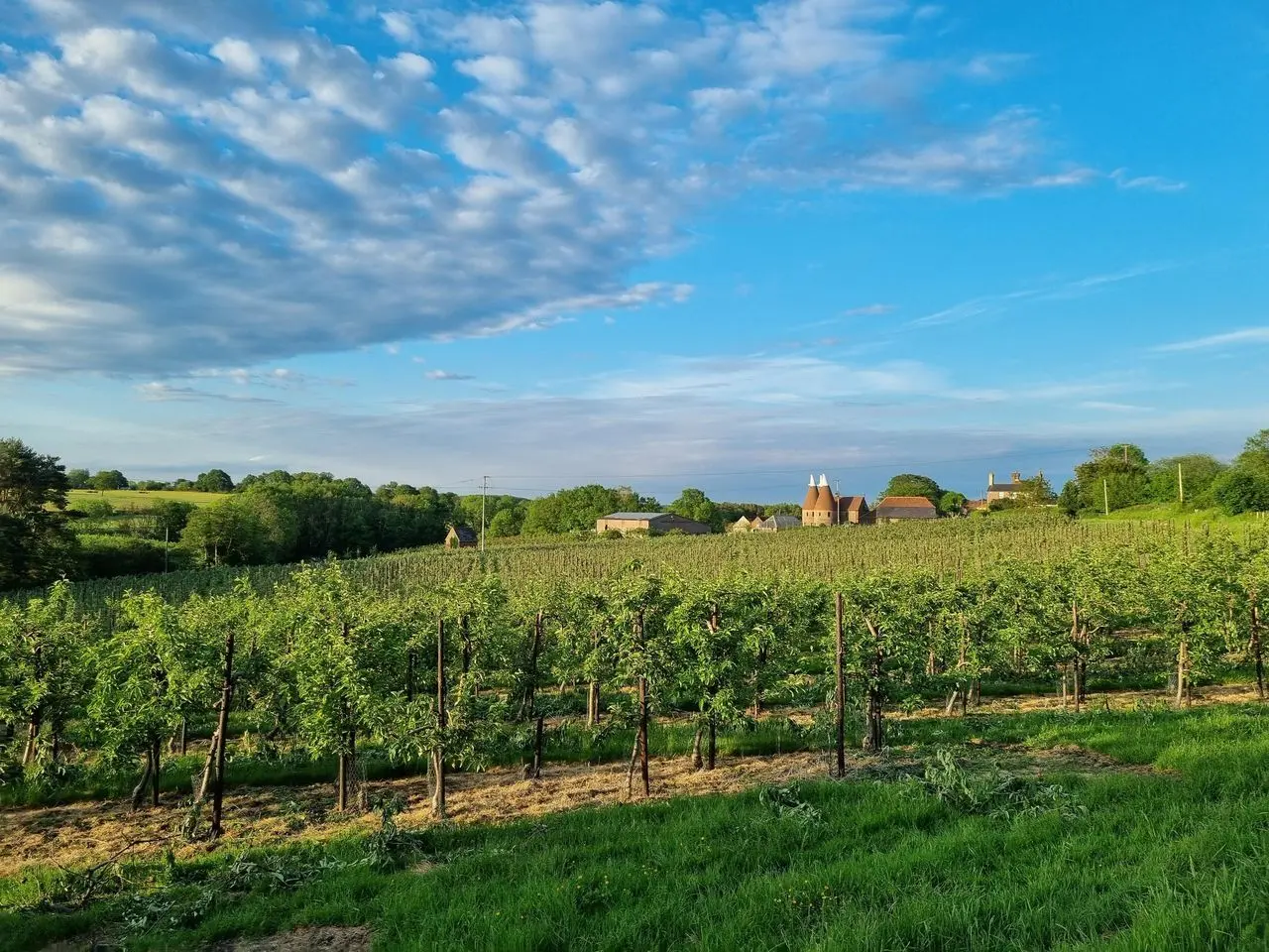 Pippins Farm Orchards