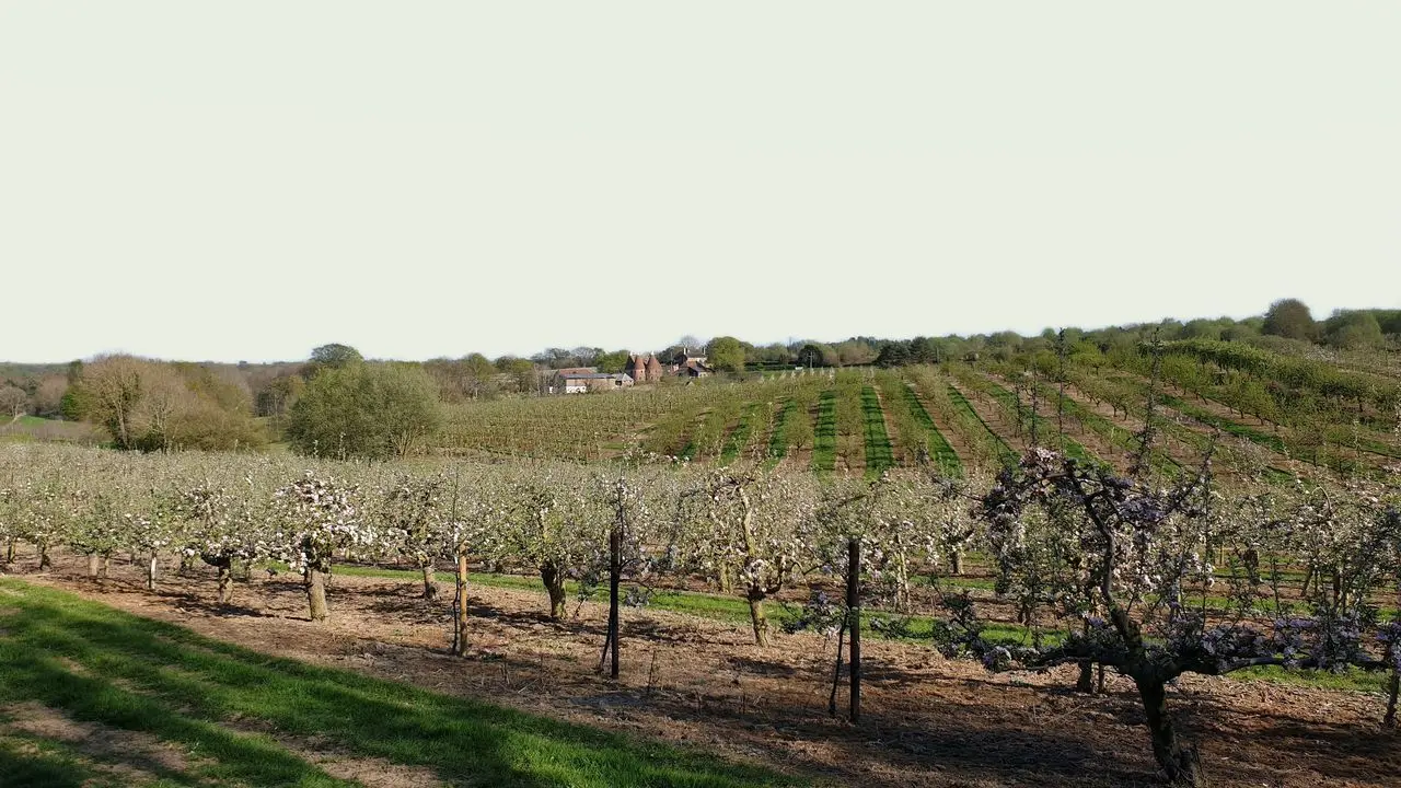 Pippins Farm Orchards photo 1