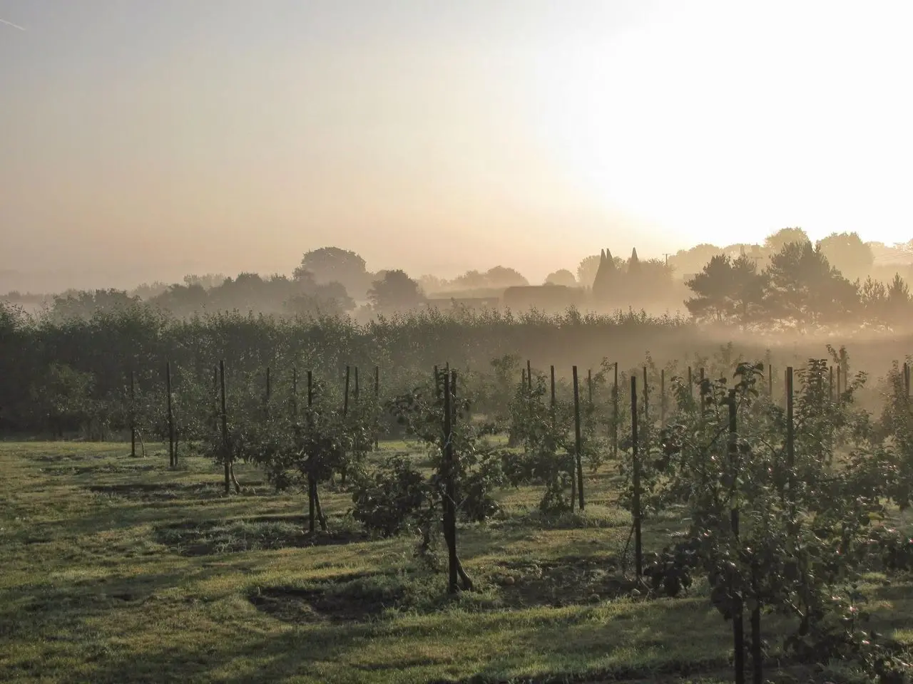 Pippins Farm Orchards photo 2