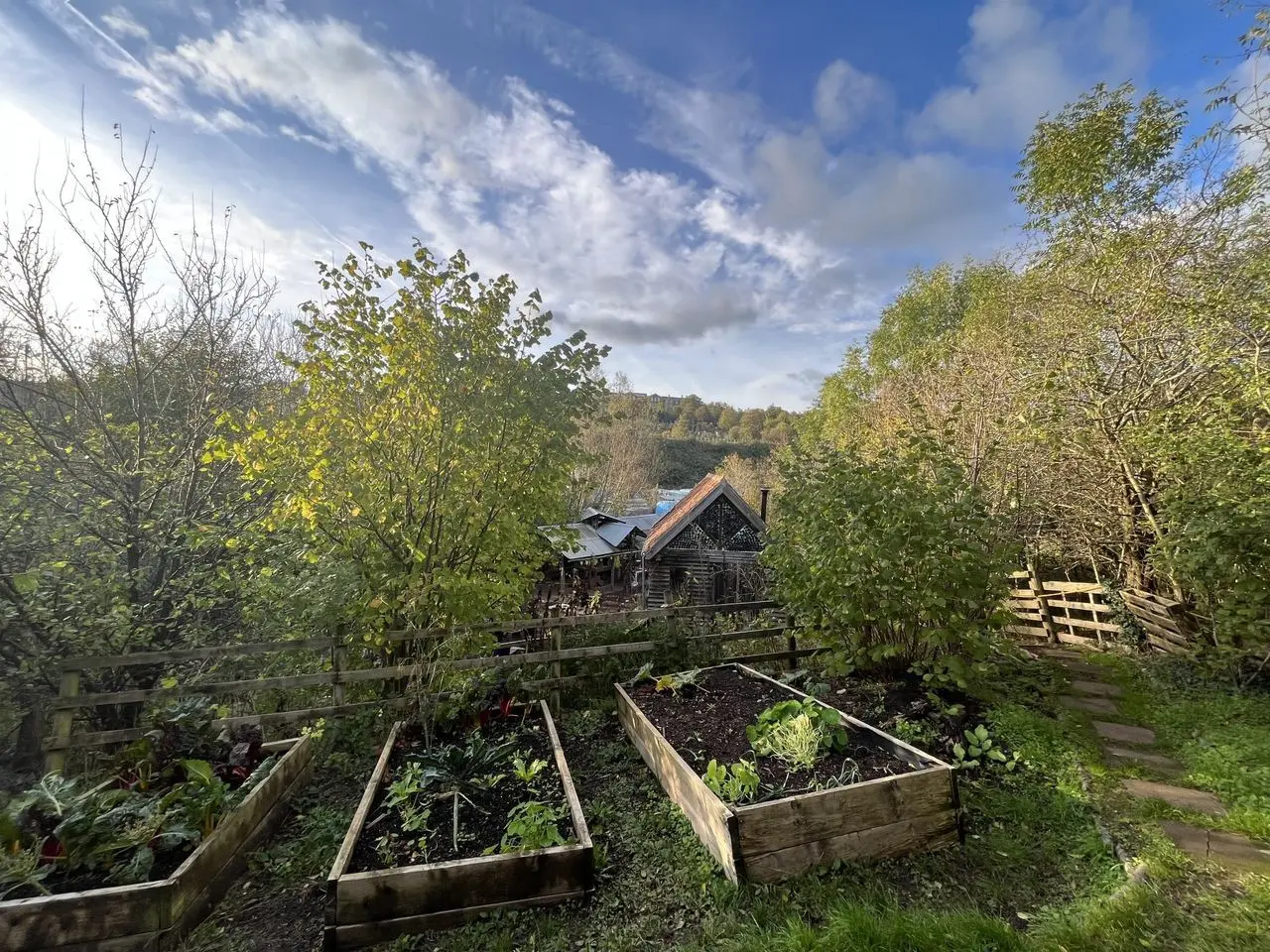 St Werburghs City Farm main photo