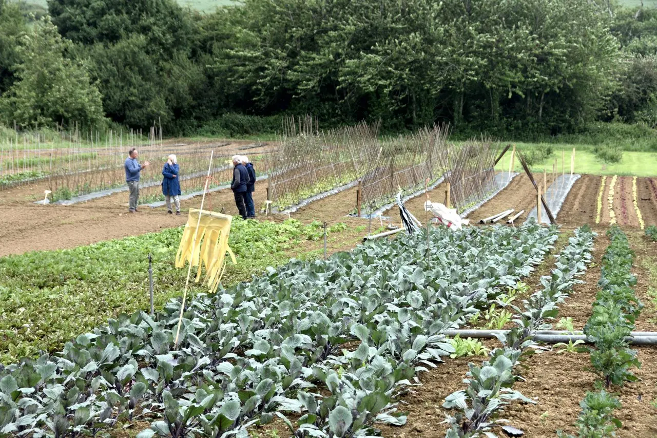Washingpool Farm Shop & Restaurant photo 2