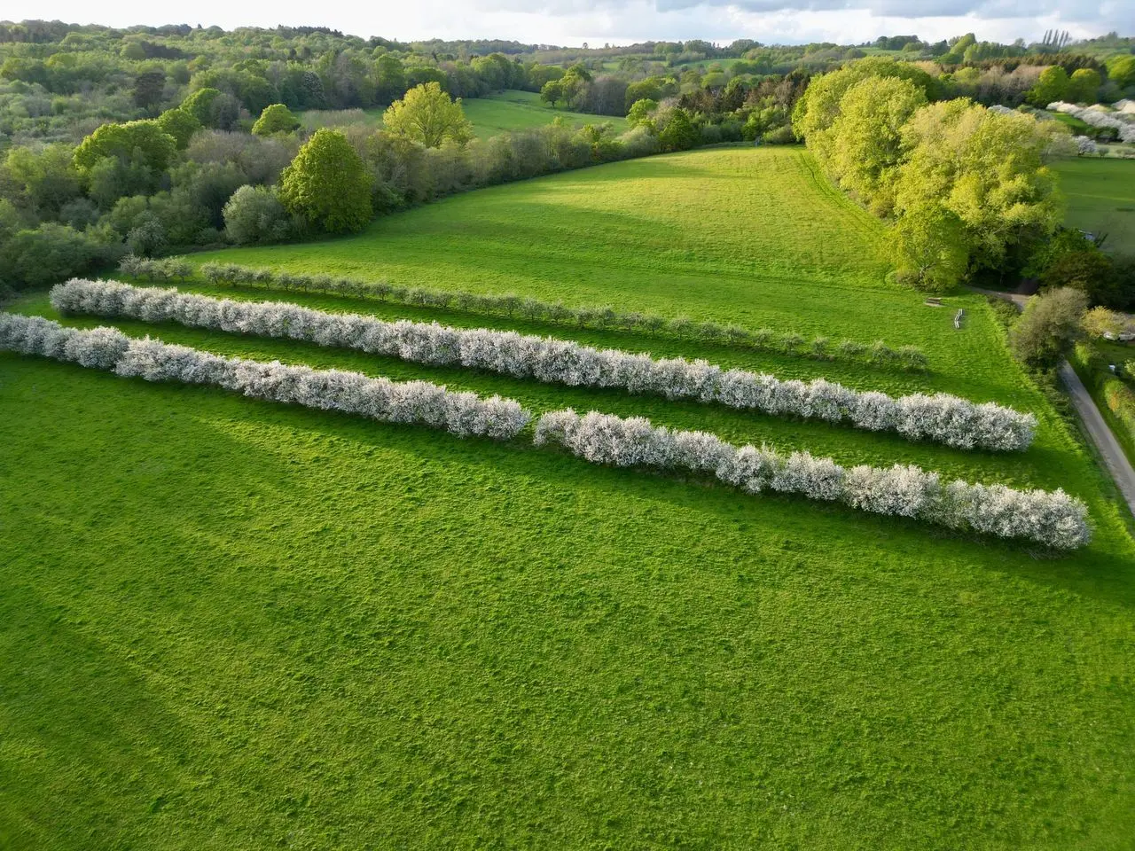 Wobblegate Orchards (The Cider Tap) main photo
