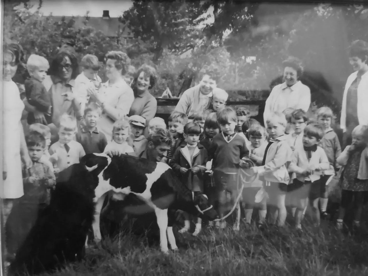 Lawns Farm Shop main photo