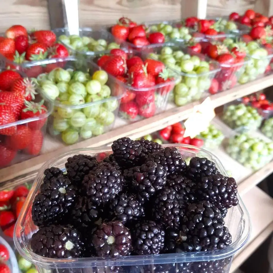 Bearstone Fruit Farm photo 1