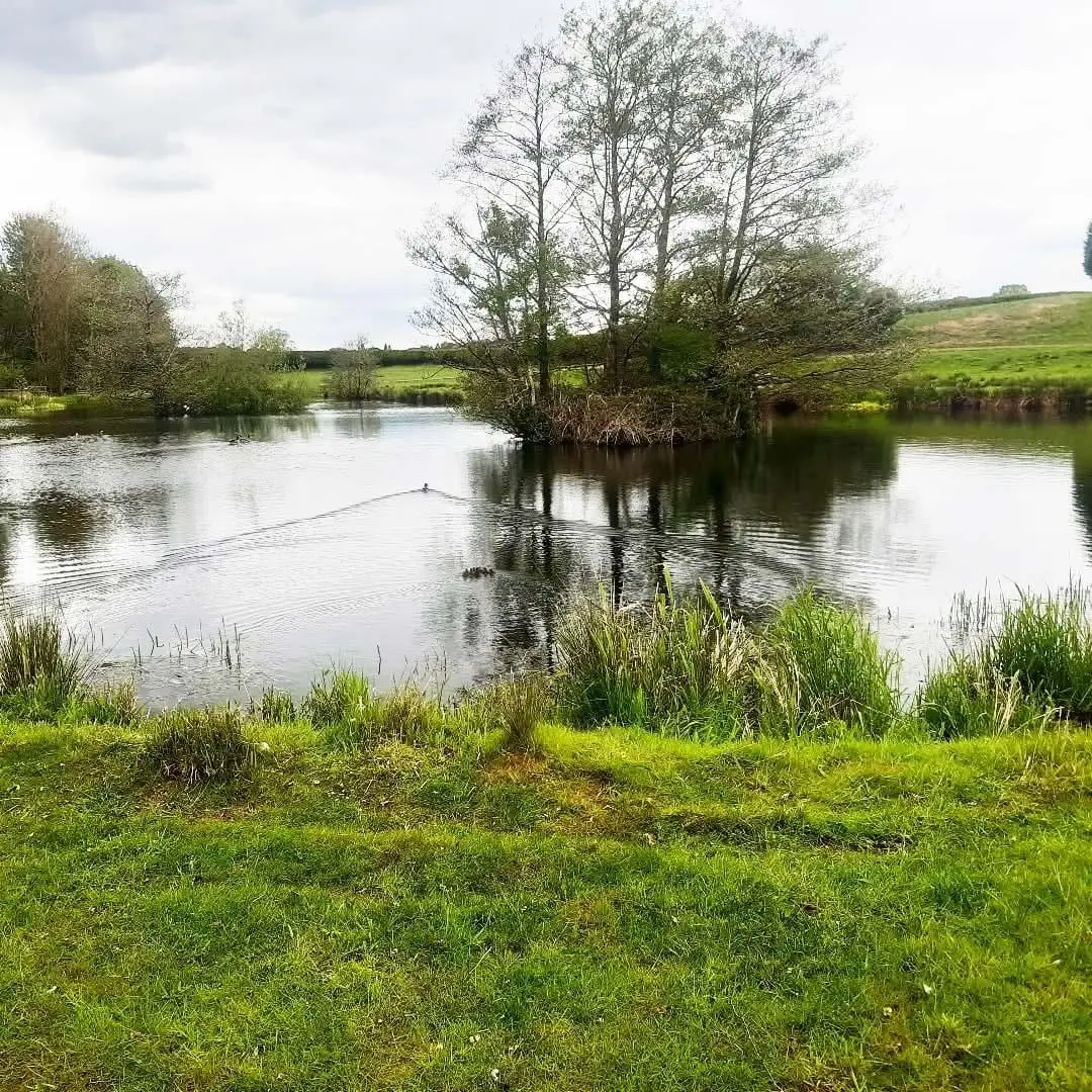 Bearstone Fruit Farm photo 2