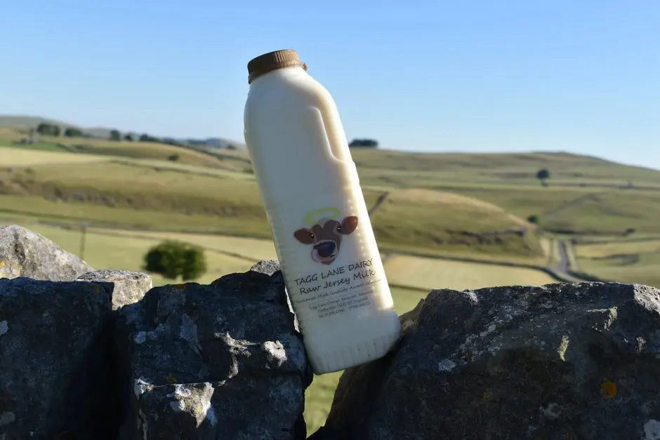 Tagg Lane Dairy photo 2