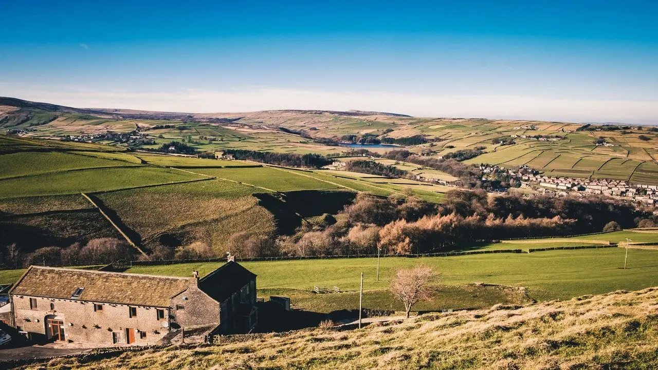 Coddy's Farm photo 1
