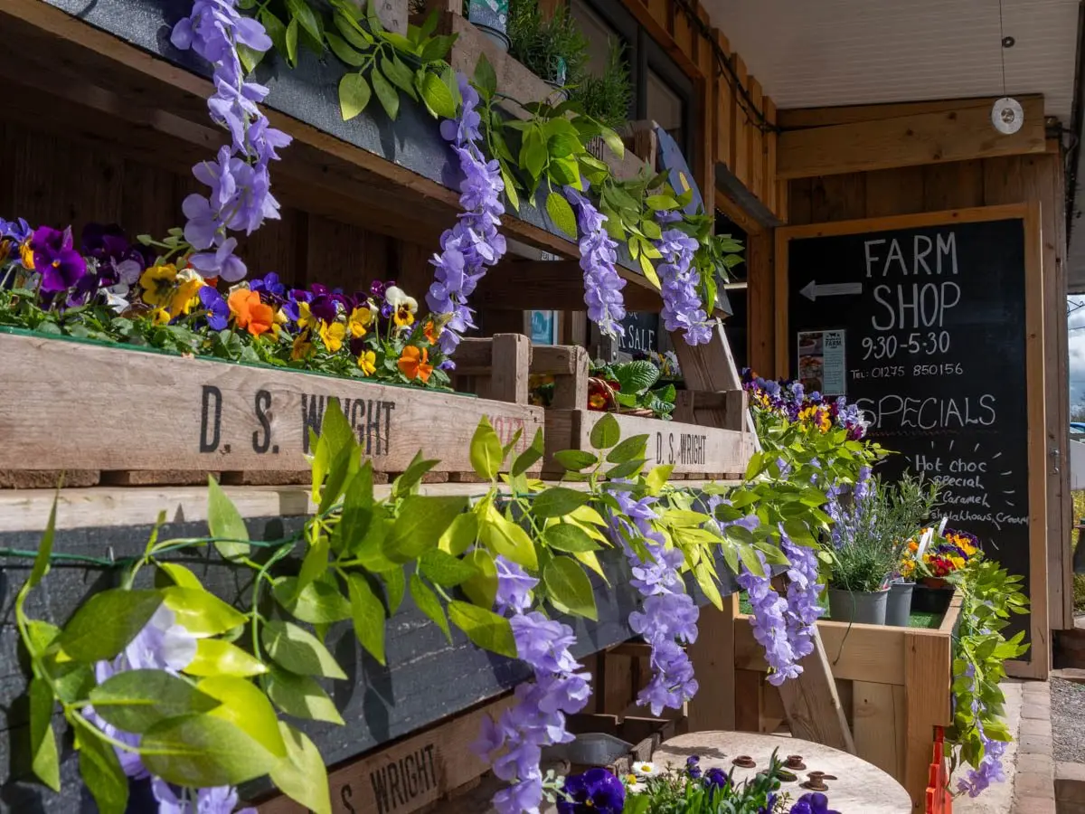 Noah's Ark Farm Shop photo 4