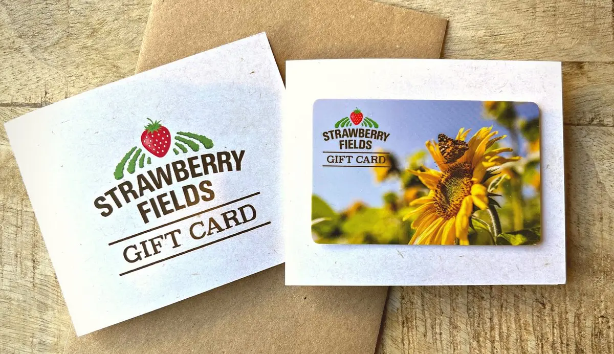 Strawberry Fields Farm Shop (Lifton) photo 1