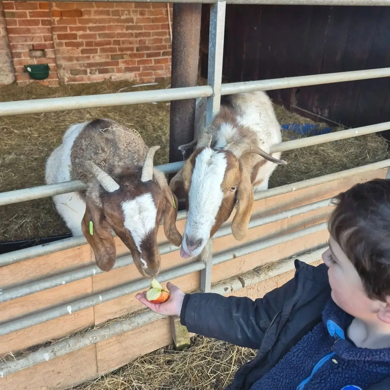 Home Farm Attingham photo 1