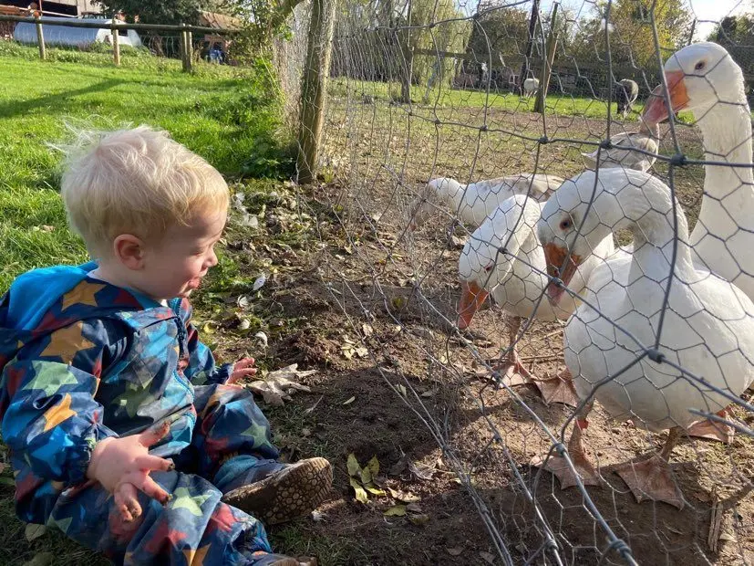 Home Farm Attingham photo 4