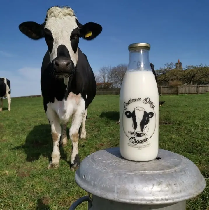 Eweleaze Dairy Organic main photo