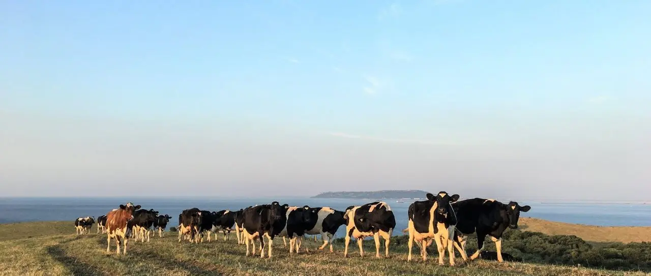 Craig's Farm Dairy photo 1