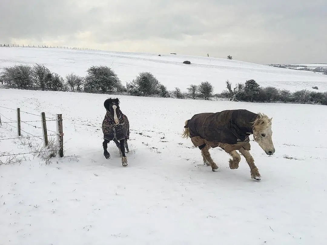 Craig's Farm Dairy photo 2