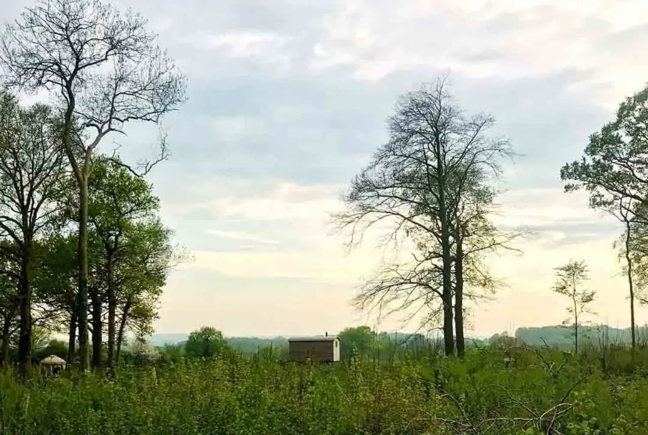 Bore Place photo 4