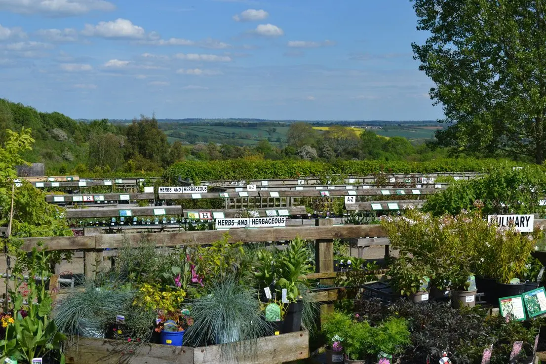 The National Herb Centre main photo