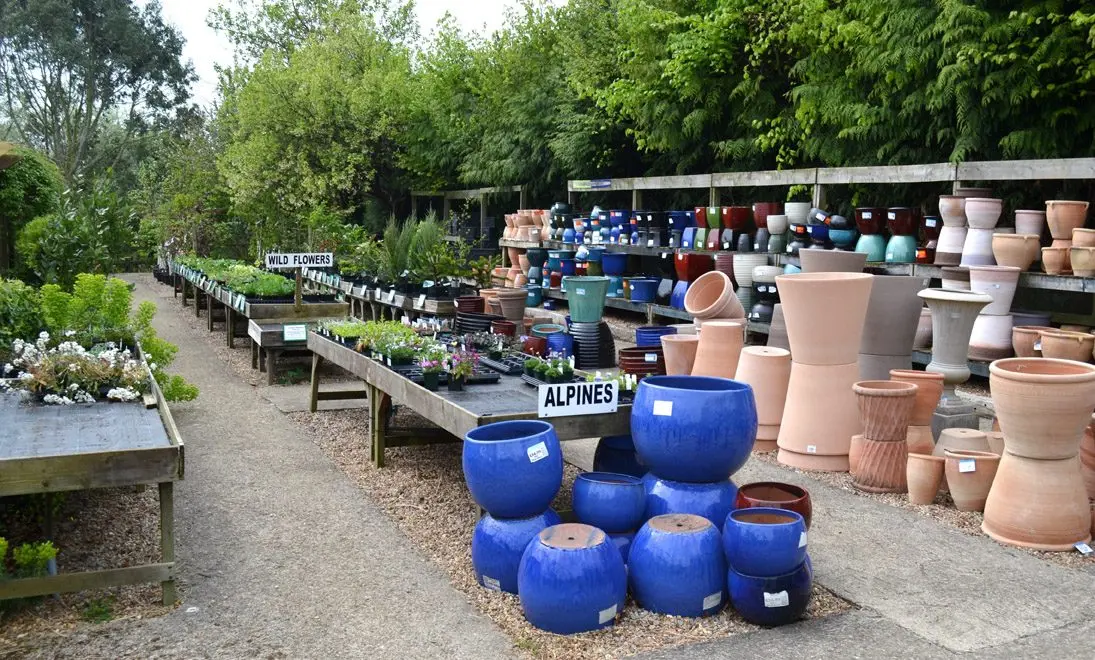 The National Herb Centre photo 1