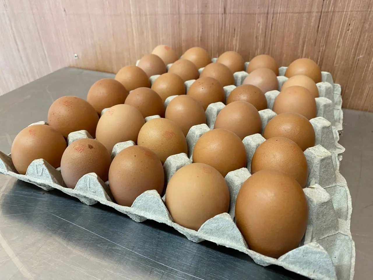The Egg Machine photo 4