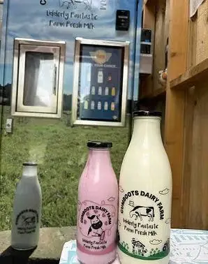 Cumboots Dairy Farm photo 2