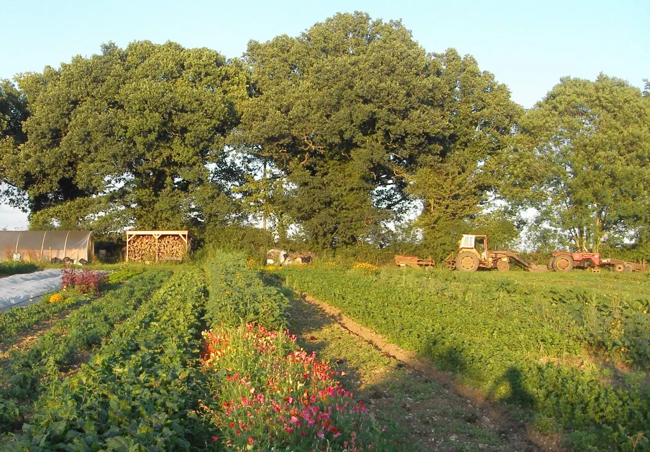 Harroway Organic Gardens main photo