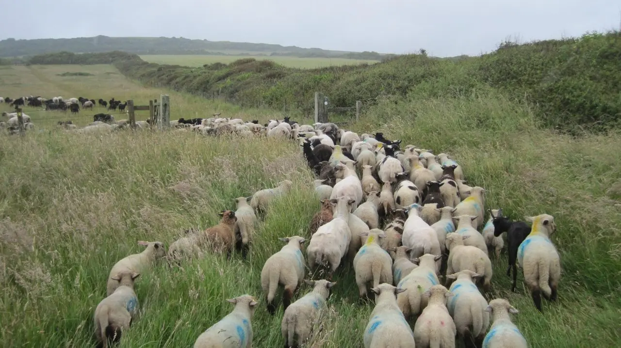Tamarisk Farm photo 1