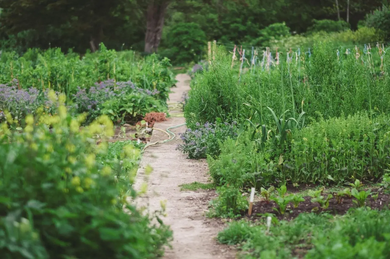 Tamarisk Farm photo 3