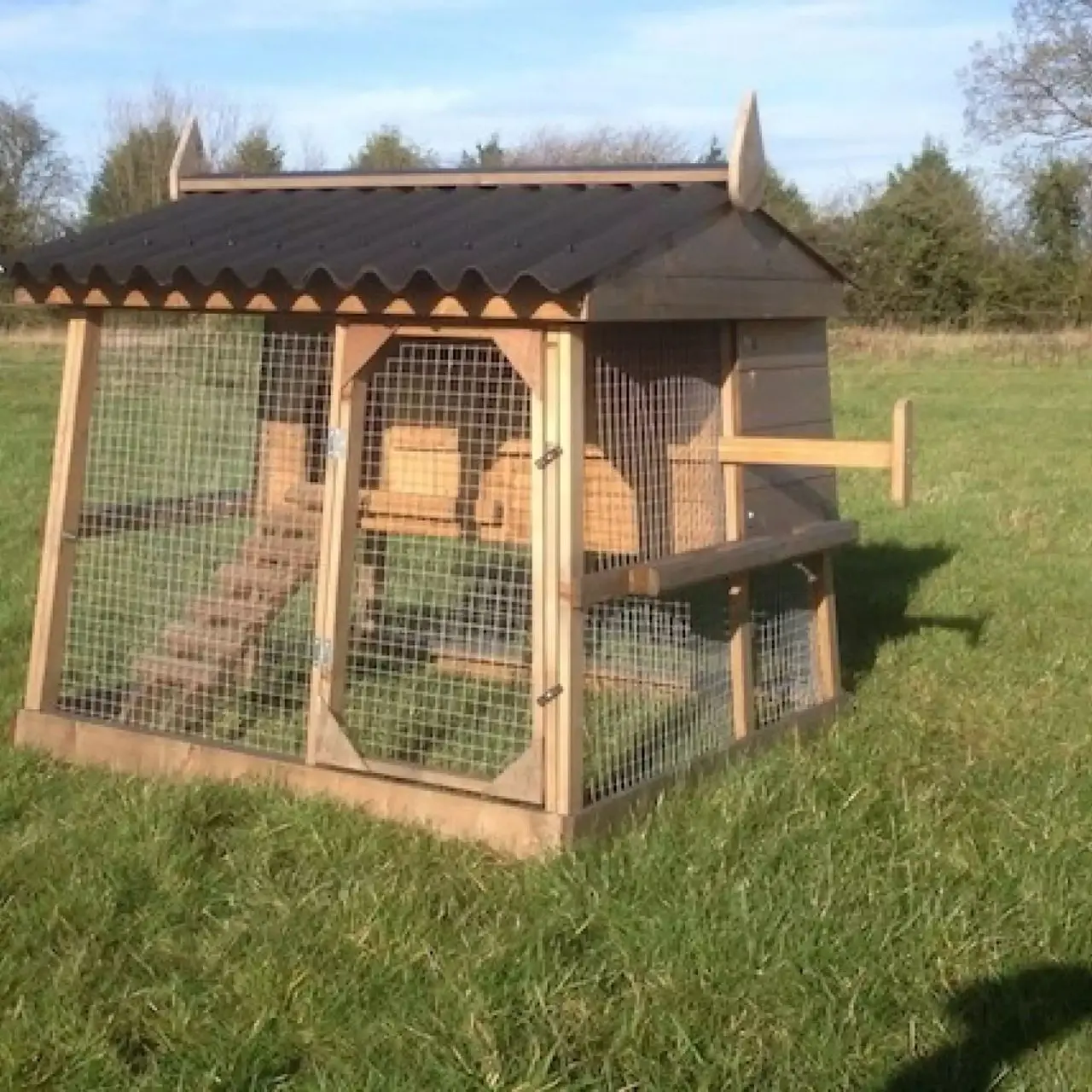 Domestic Fowl Trust photo 1