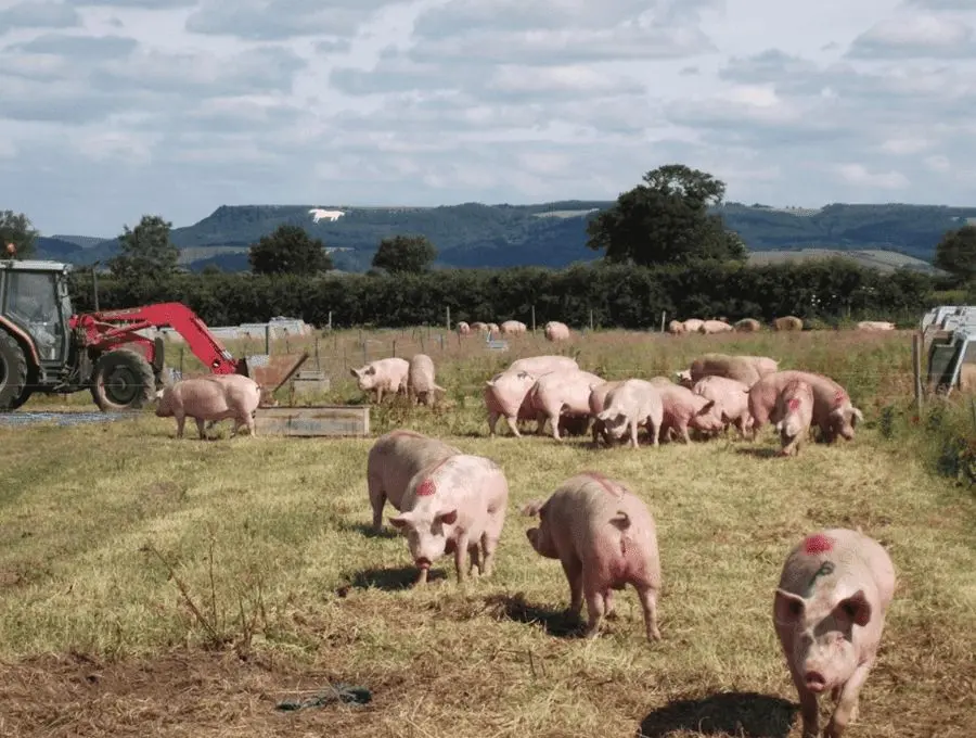 Farm Gate Farm Shop photo 1
