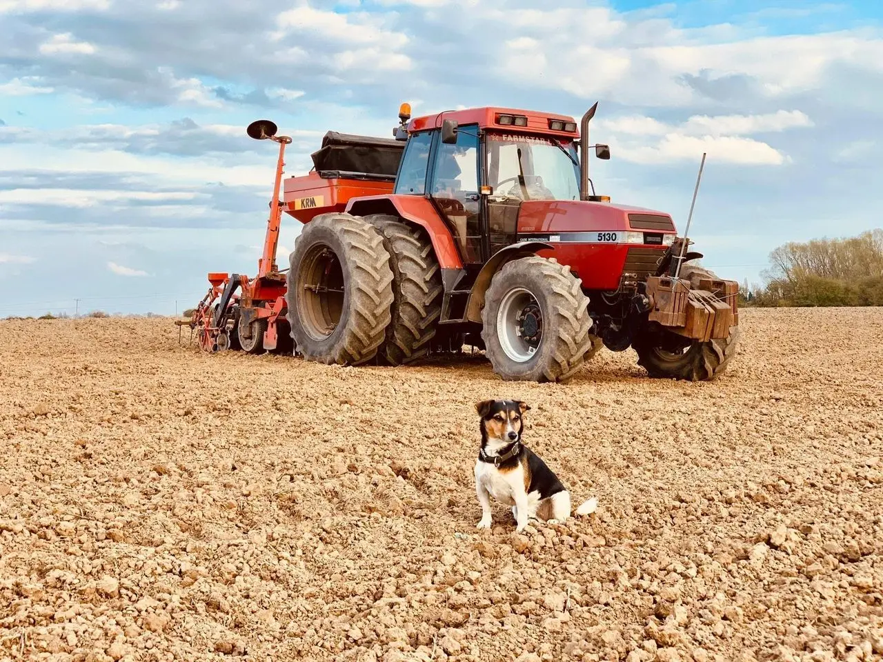Middleton Meats and Animal Feeds