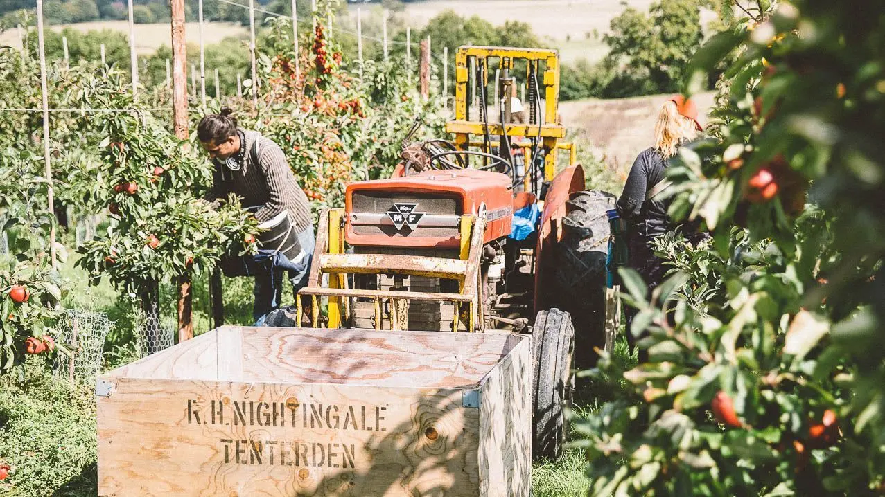 Nightingale Cider Company main photo