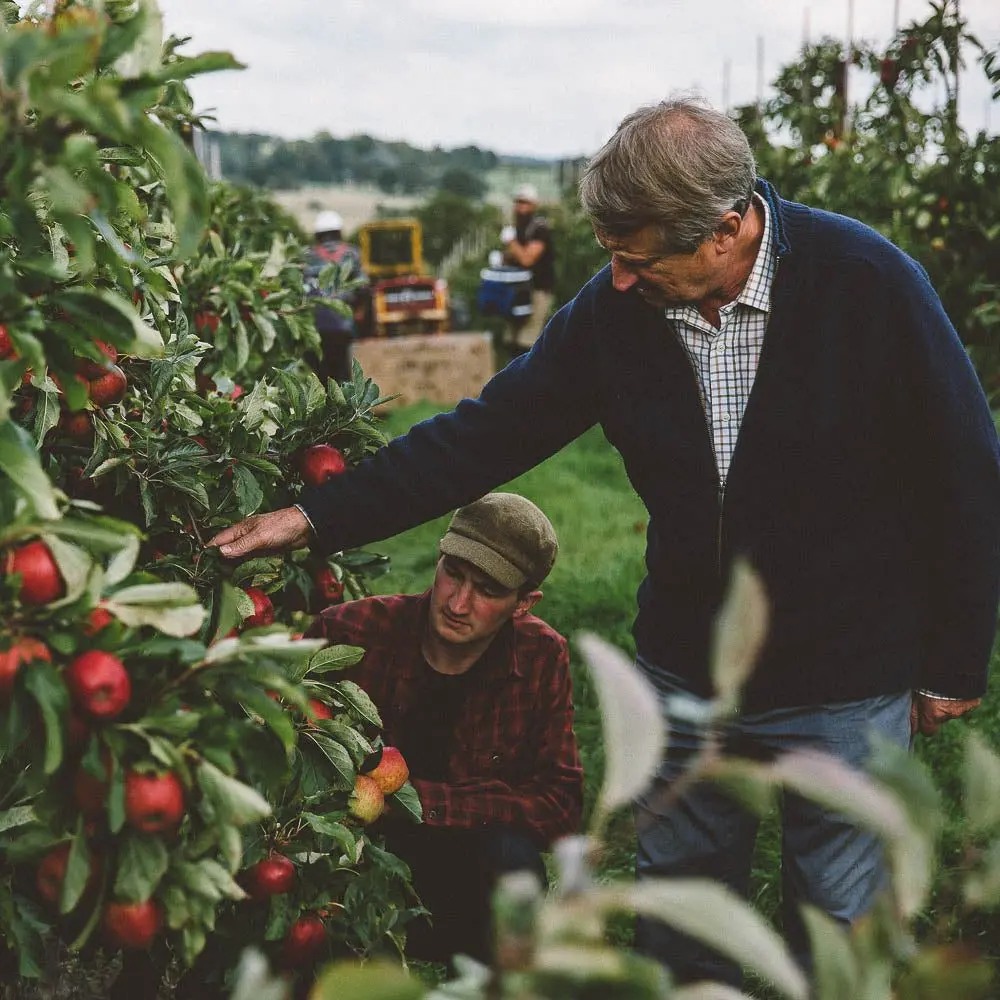 Nightingale Cider Company photo 3